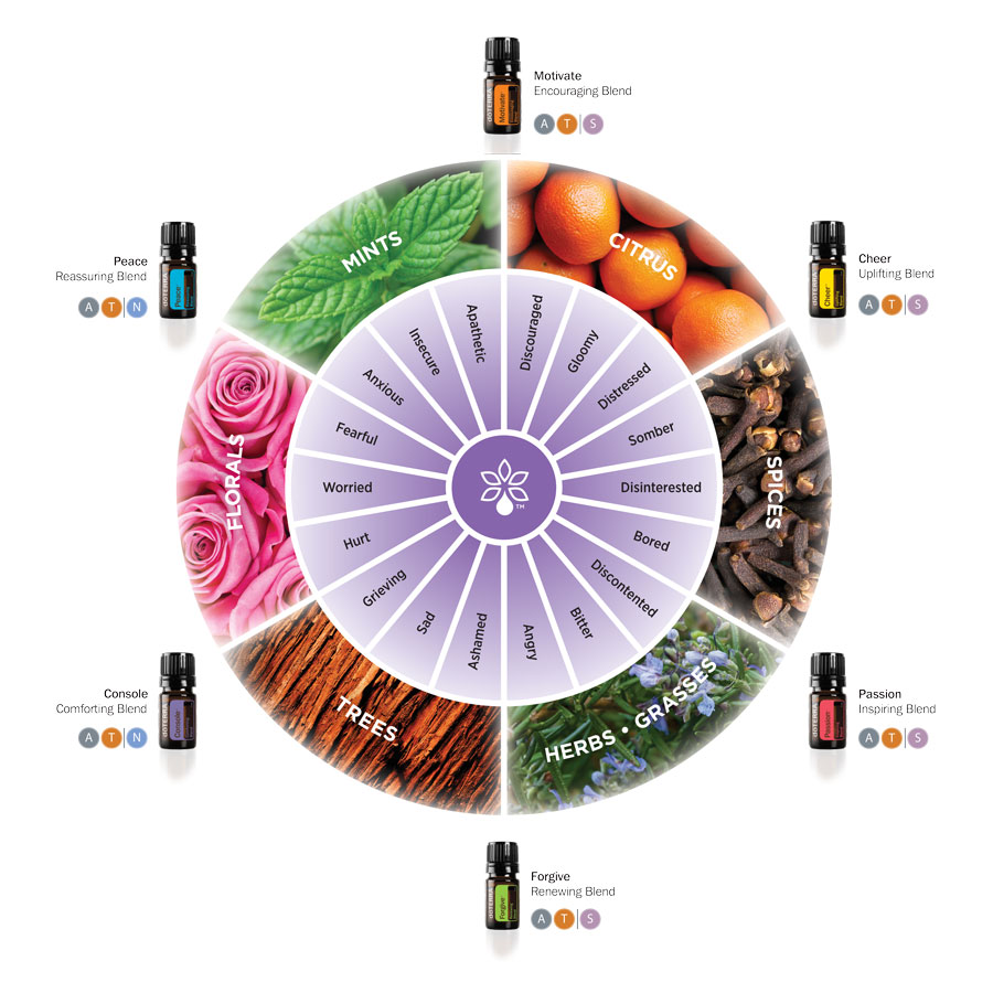How to Choose a Blend dōTERRA Essential Oils